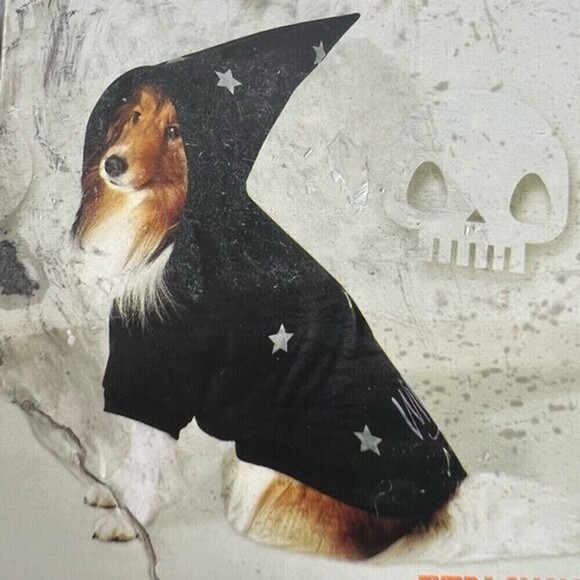 Other - Dog witch costume size small